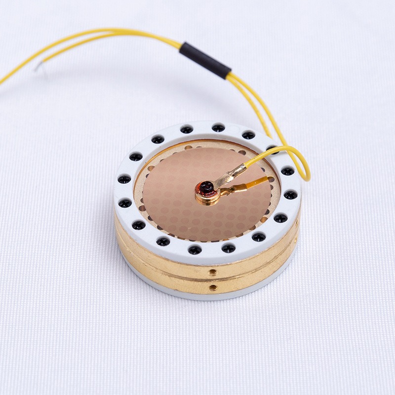 RK-87 Large Diaphragm Micropho - Microphone Capsule 评论和价格