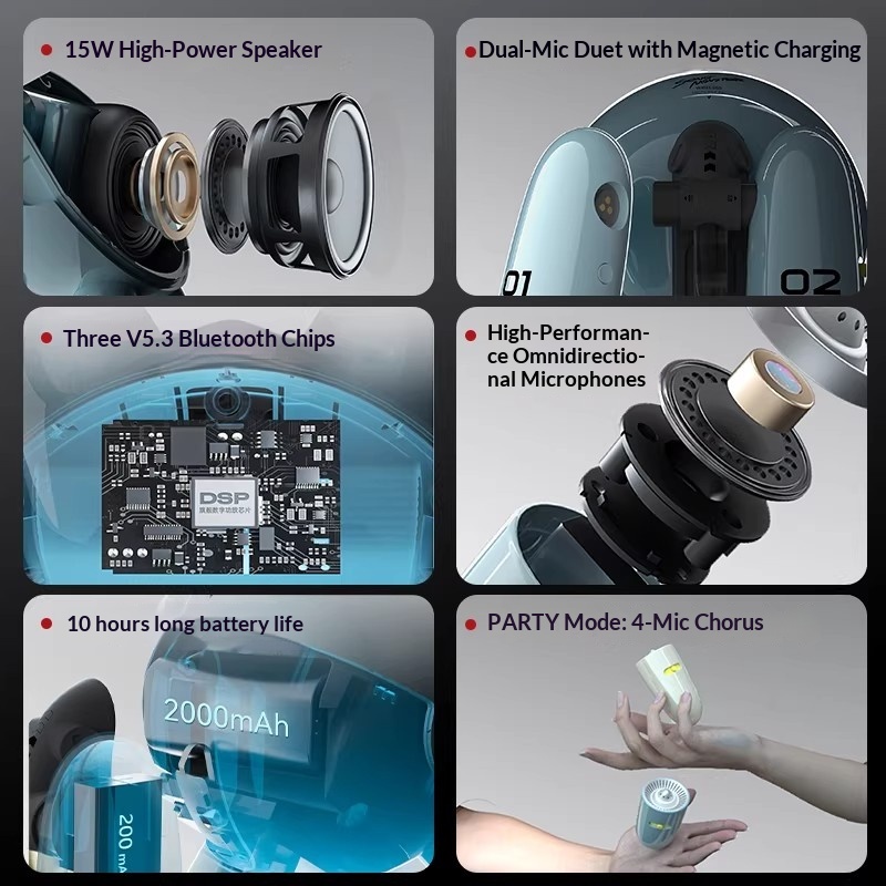 SONGX Audio Dual Microphone Du - Full Range Speaker 评论和价格