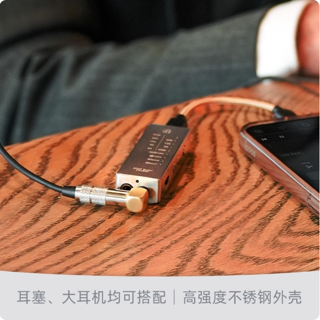 iFi GO bar Kensei Kensei Energ - Headphone Amplifier 评论和价格